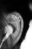 Love Cartilage Earring.jpg