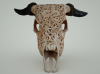 Mark-Florquin-Skull-3D-Print-Shapeways-Render-Front.png