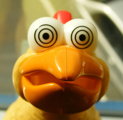 Hypnotic Chicken