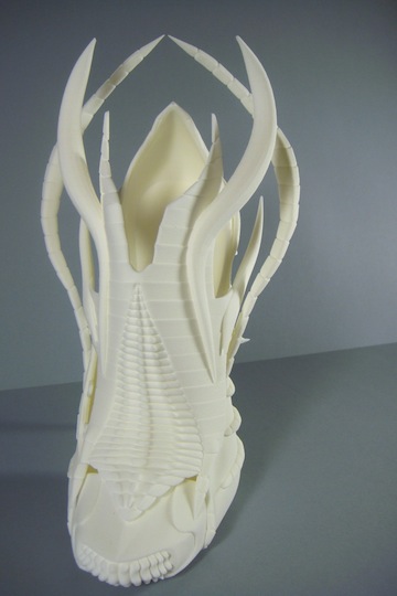 Shapeways 3D Printing Shoe
