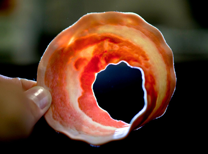 Mobius bacon from the Shapeways 3d printer
