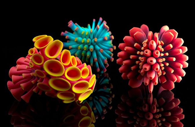 nervous system shapeways