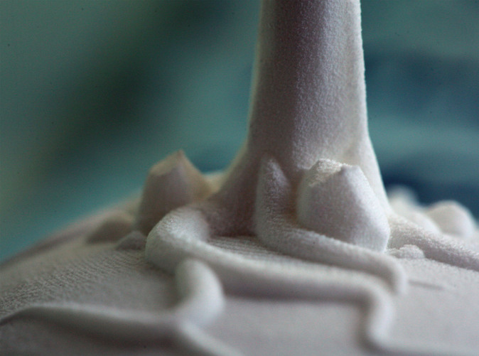 Darwin's 3D Printed Cladogram Tree