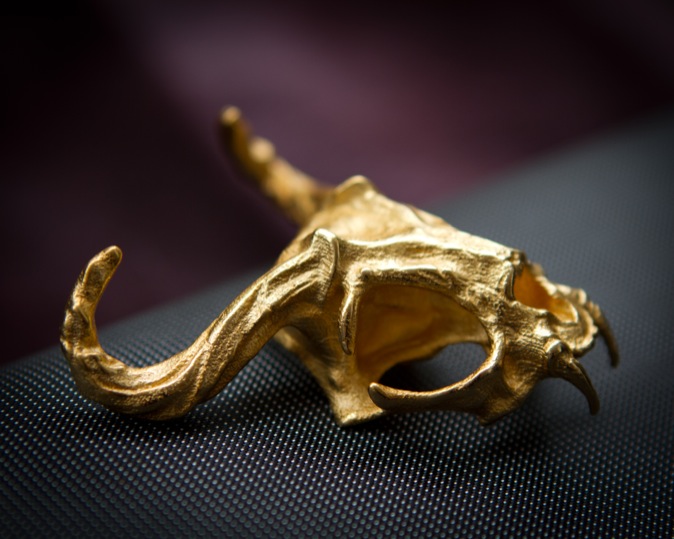 Shapeways 3D Print Cat Skull Antelope