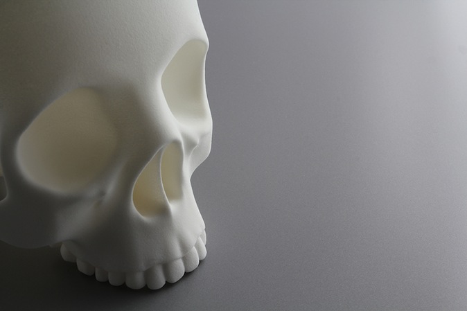 Shapeways Skull 3D Print