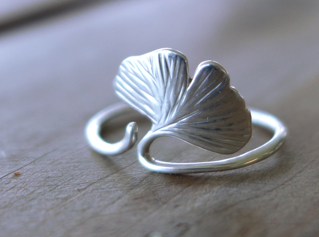 Scott Denton 3D modeling Expert on Shapeways