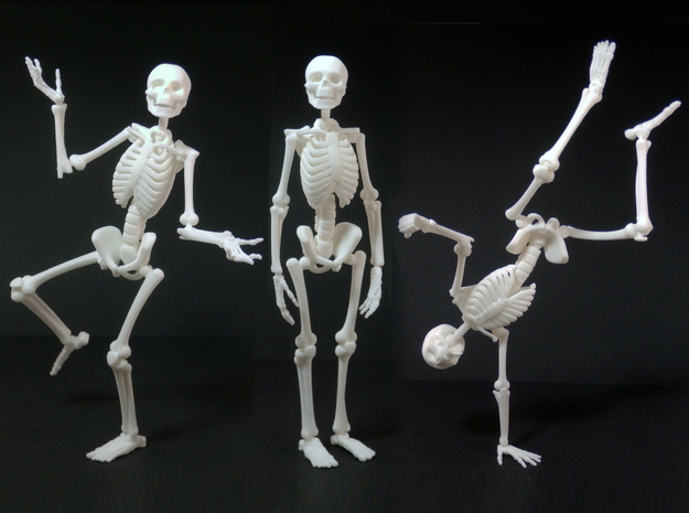 3D printed plastic skeleton plastic
