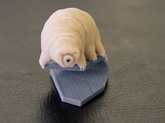 tardigrade