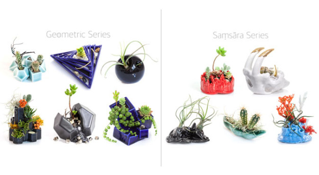 collections-blog