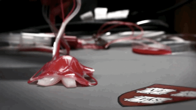 Soft Robot 3D printed Shapeways