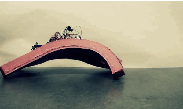 Soft Robot 3D printed Shapeways
