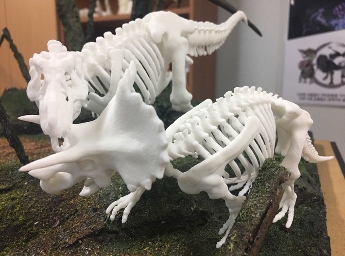 Tyrannosaurus vs. Triceratops Skeleton by VITAMIN IMAGINATION