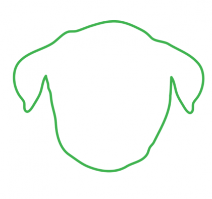 vector file of simplified outline of dog face in green
