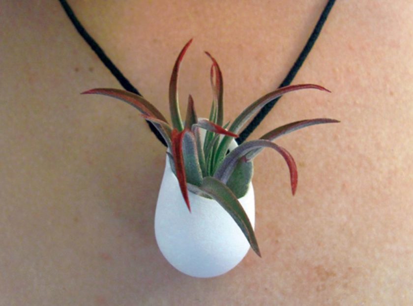 air plant 3D printed necklace pendant