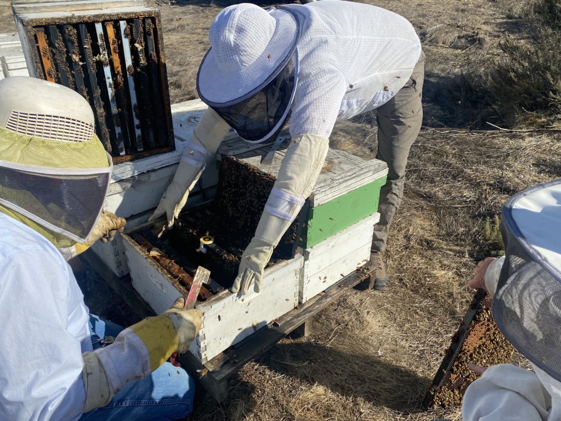 BeeHero 3D printed monitoring system for bee hives