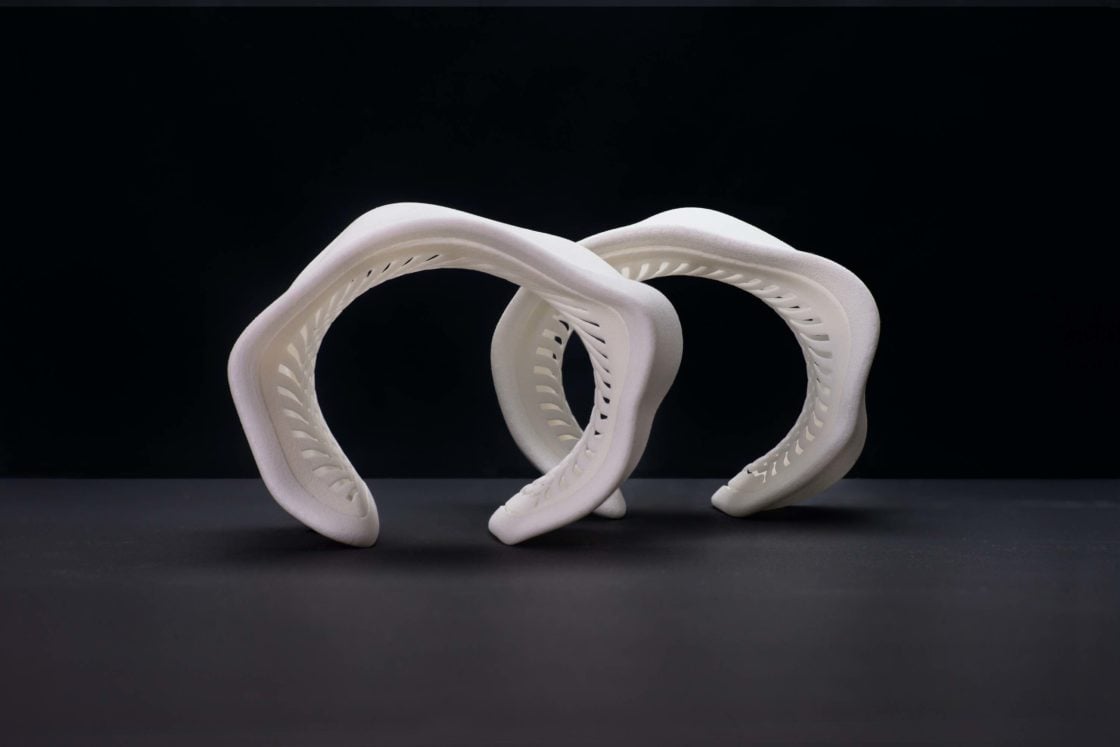 Groen and Boothman's creatures bracelet skeletons
