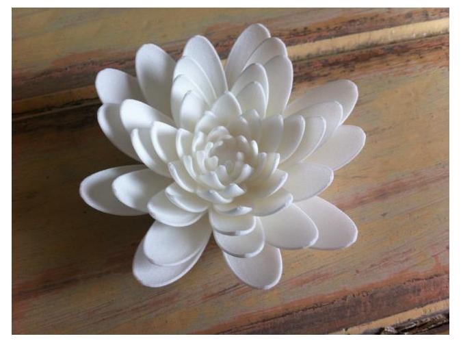 3D Printed Antithesis Flower