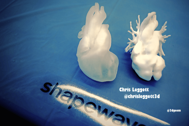 3D printed heart, anatomical model, science