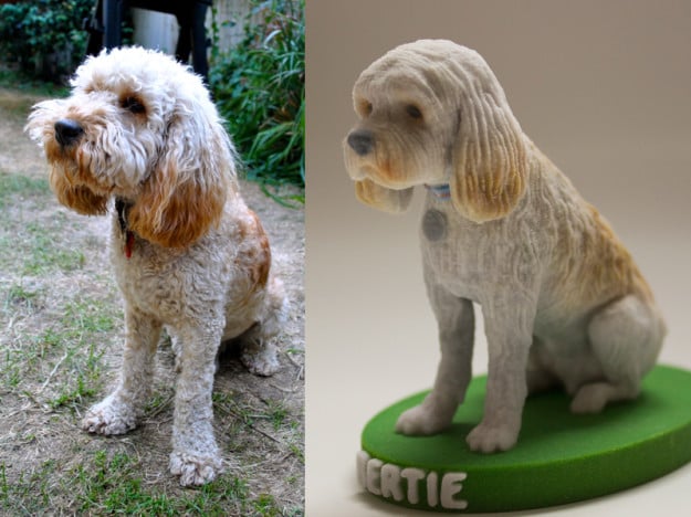 Photo and 3D model of Bertie by Arty Lobster