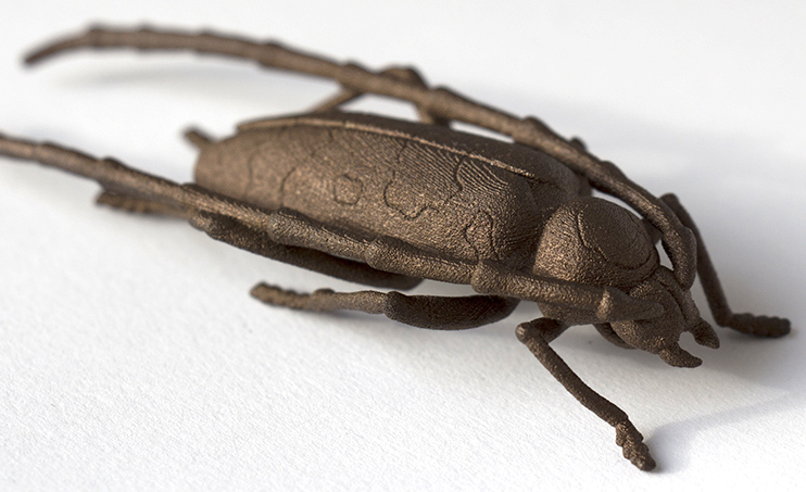 raw bronze bug.jpg